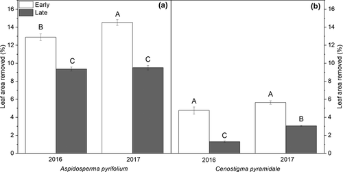 Figure 3. Leaf tissue lost to herbivory for Aspidosperma pyrifolium (a) and Cenostigma pyramidale (b) individuals from early and late succession stages of tropical dry forest over two consecutive years (Santa Terezinha, Paraíba, Brazil). Bars ± standard error followed by similar letters indicate a non-significant difference according to the Bonferroni test (5%), n = 10