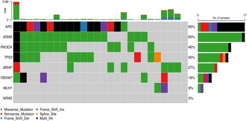 Figure 4 The Cancer Genome Atlas Colon Adenocarcinoma Cohorts (TCGA COAD) stage II recurred CRCs.