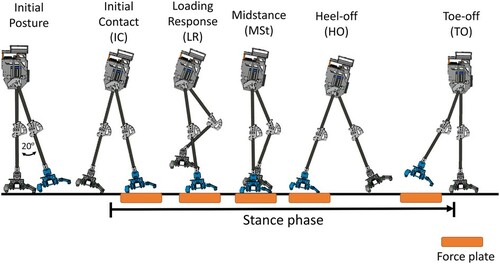 Figure 8. Walking procedure. The blue foot represents right foot.