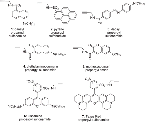 Figure 1.  The chemical structures of the fluorophore amides.