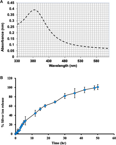Figure 2 (A) UV–VIS spectra of AgNPs-EC, which showed the maximum absorbance at 391 nm, refer to the surface plasmon resonance peak. (B) In vitro Ag+ release from the prepared AgNPs-EC in deionized water (n=3±SD).