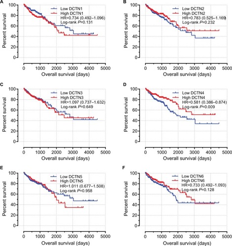 Figure 5 Prognostic graphs of DCTN expression for overall survival.Note: Kaplan–Meier survival curves for complete COAD patients according to expression of (A) DCTN1; (B) DCTN2; (C) DCTN3; (D) DCTN4; (E) DCTN5; and (F) DCTN6 (n=438).Abbreviations: COAD, colon adenocarcinoma; DCTN, dynactin.