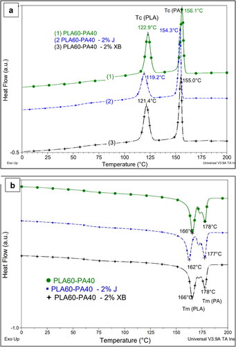 Figure 11. DSC traces recorded during cooling (a) and second heating (b) of PLA60–PA40 blends with/without compatibilizers.