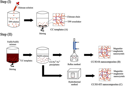 Figure 1. Preparation of crosslinked chitosan/iron oxide nanocomposites (CC/IO).