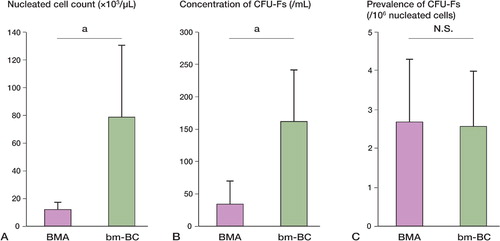 Figure 2. A. The nucleated cell counts were higher in the bm‐BC samples than in the BMA samples (p = 0.003). B. The concentrations of CFU‐Fs in concentrated bone marrow were higher than those in BMAs (p < 0.001). C. There were no statistically significant differences in the prevalence of CFU‐Fs in the 2 samples (p = 0.9).