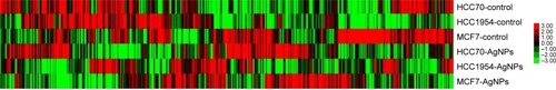 Figure 6 Gene expression heat map of 437 selected genes in each cell line.Abbreviation: AgNPs, silver nanoparticles.