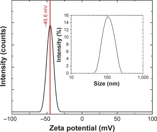 Figure 1 Zeta potential of the selenium nanoparticles synthesized by PLAL in DI water using a ultraviolet wavelength at λ=355 nm. Inset: size distribution of the selenium nanoparticles determined by DLS, average size =115±38 nm.Abbreviations: DI, deionized; DLS, dynamic light scattering; PLAL, pulsed laser ablation in liquids.