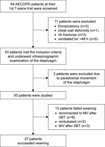 Figure 2 Flow chart of the study.