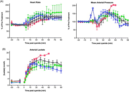 Figure 1. Cardiovascular and metabolic responses to cyanide with or without antidotes. (A) Cardiovascular (heart rate, MAP; 5 min intervals) and (B) metabolic (arterial lactate) responses to 0.08 mmol/kg KCN (circle) and 0.12 mmol/kg KCN (square) and to 0.12 mmol/kg KCN following pre-treatment with hydroxocobalamin (diamond) or dicobalt edetate (triangle). Values are mean ± SEM (for cardiovascular variables, of normalised responses [mean of -30 min and -10 min pre-cyanide exposure values = 100%]).