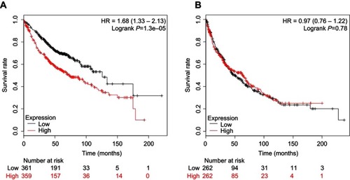 Figure 1 The relationship between ERRα and survival rate in lung cancer.Notes: (A) The relationship between ERRα and survival rate in 720 patients with lung adenocarcinoma. (B) The relationship between ERRα and survival rate in 524 patients with lung squamous cell carcinoma.