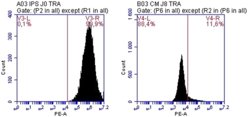 Figure 1. Quantification of TRA-1-60 positive cells by flow cytometry at Day 0 (left) and Day 8 (right) of differentiation.