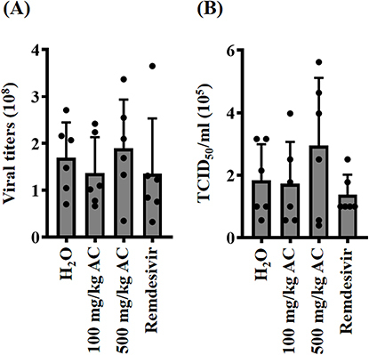 Figure 7 Effect of AC on viral replication in the lungs of SARS-CoV-2 delta-variant-infected hamsters. (A) Viral genomic RNA copy numbers in lung tissues. (B) Functional SARS-CoV-2 particle titers in the lungs are expressed as TCID50/mL.