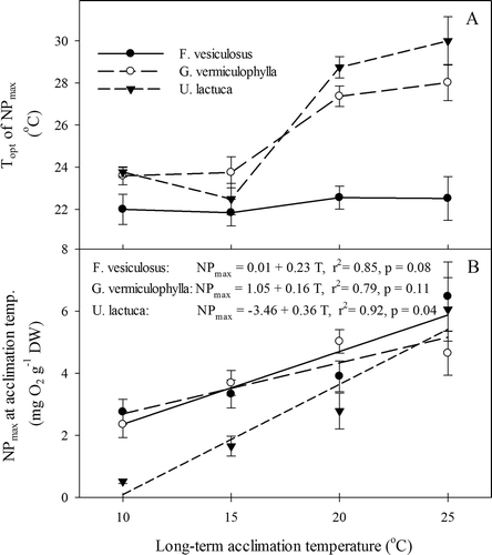 Fig. 6 Experiment II: Metabolic adjustments for three macroalgae species acclimated to four growth temperatures. (A) Optimum temperature of light-saturated net photosynthesis (NP max), and (B) NP max values at short-term incubation temperatures corresponding to the same long-term acclimation temperatures. Errors are SD, N = 4.