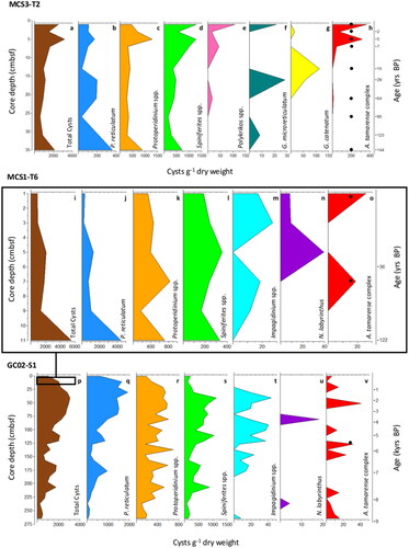 Figure 2. Dinoflagellate cyst abundance (per gram dry weight) at MCS3-T2 (inshore), MCS1-T6 (offshore surface), and GC02-S1 (offshore deep) determined from palynological analysis. Total cyst abundance varied between sites (a,i,p). Most abundant were cysts of Protoceratium reticulatum (b,j,q), Protoperidinium spp. (c,k,r) and Spiniferites spp. (d,l,s). The rare Polykrikos spp. (e), Gymnodinium microreticulatum (f), G. catenatum (g) were detected inshore only whilst Impagidinium spp. (m,t) and Nematosphaeropsis (n,u) occurred offshore only. Cysts of the Alexandrium tamarense complex were detected using both light microscopy (red silhouette) and primulin staining (black dots) inshore (h) and offshore (o,v).