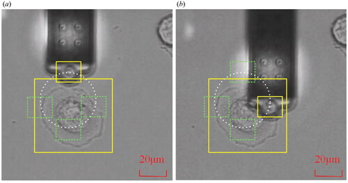 Figure 6. Target tracking experiment. (a) The image capture at the initial time. (b) The image capture during the movement. Note that the yellow box is the selected template while the white line shows the movement trajectory of the probe.