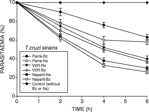 Figure 4 Trypanocidal effect of Benznidazole (Bz) and Nifurtimox (Nx) on mice parasitaemia induced by different T. cruzi strains. Control (without Bz or Nx). At the peak of maximum parasitaemia, a single dose of the drug (500 mg/kg) was given by the oral route and the parasitaemia was determined before and 2,4 and 6 h after treatment, according to Filardi and Brener [Citation14]. Compostela and Miguz strains were resistant to the treatment with Nx and Bz.