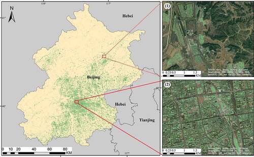 Figure 9. Building footprints in Beijing. Sub figures (1) and (2) represent the building footprints in suburb and city center, respectively.