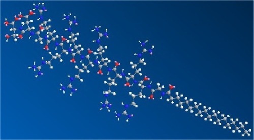 Figure 1 Three-dimensional schematic structure of C18GR7RGDS amphiphilic peptides.Notes: Red, oxygen atoms; blue, nitrogen atoms; gray, carbon atoms; and white, hydrogen atoms.