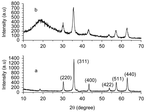 Figure 4.  XRD patterns of the prepared magnetite nanoparticles (a) and magnetite chitosan–MTX microspheres (b).