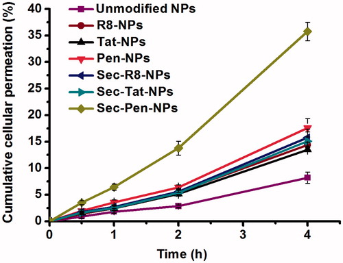 Figure 5. Transcellular transport of coumarin-6-loaded nanoparticles through Caco-2 cell monolayers at defined intervals. Each data point was expressed as the mean ± SD (n = 3).