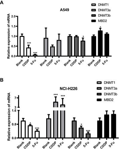 Figure 5 DNA methyltransferase activity. (A and B) The expressions of DNMT1, DNMT3a, DNMT3b and MBD2 in A549 cells and NCI-H226 cells, respectively. *P<0.05 and ***P<0.001 vs Blank group.