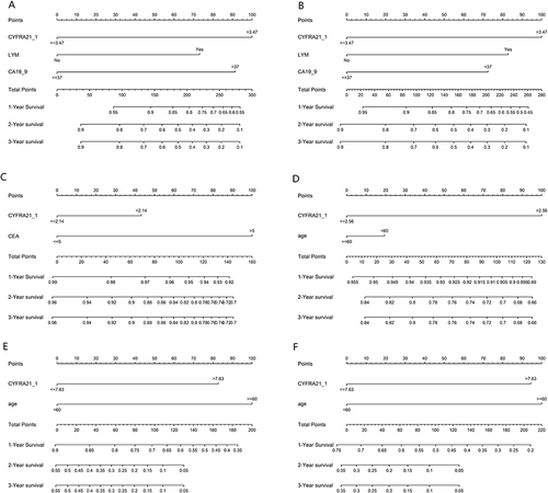 Figure 7 Nomograms of CRC prognosis. (A) The prognostic nomogram for overall survival (OS) based on the prognostic scores of CYFRA 21-1, lymphatic invasion(LYM) and CA19-9 in all CRC patients. (B) The prognostic nomogram for progression-free survival (PFS) based on the prognostic scores of CYFRA 21-1, lymphatic invasion(LYM) and CA19-9 in all CRC patients. (C) The prognostic nomogram for overall survival (OS) based on the prognostic scores of CYFRA 21-1 and CEA in the stage I–III CRC cohort. (D) The prognostic nomogram for progression-free survival (PFS) based on the prognostic scores of CYFRA 21-1 and age in the stage I–III CRC cohort. (E) The prognostic nomogram for overall survival (OS) based on the prognostic scores of CYFRA 21-1 and age in the CRLM cohort. (F) The prognostic nomogram for progression-free survival (PFS) based on the prognostic scores of CYFRA 21-1 and age in the CRLM cohort.