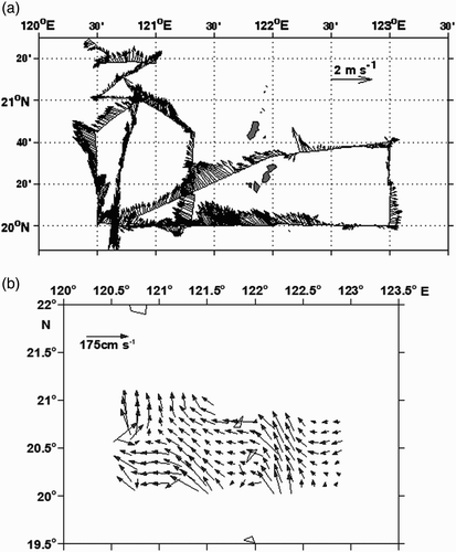 Fig. 10 (a) Currents determined from ADCP measurements in the surface layer (8–24.7 m) and (b) velocity vectors (cm s−1) at 10 m determined by the diagnostic model of the study region during October 2008.