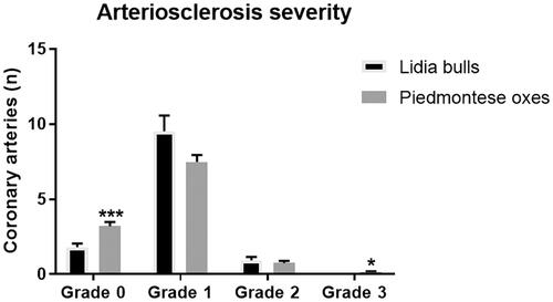 Figure 3. Arteriosclerosis severity in Piemontese oxen and Lidia bulls. Non-statistically significant differences were recorded for grades 1 and 2 between the two groups. Piemontese oxen showed more grade 0 and grade 3 arteries compared to Lidia bulls. *p < .05; ***p < .001.