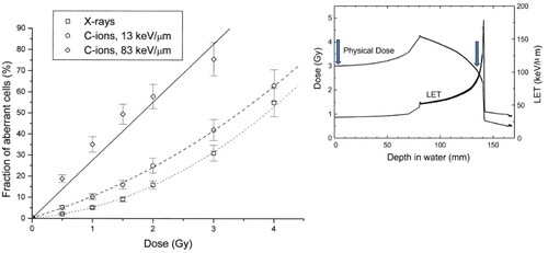 Figure 2. In vitro dose response for the induction of structural aberrations in peripheral blood lymphocyte chromosomes 2 and 4 visualized by FISH-painting. Data for X-rays are average from 11 different patient samples, data for C-ion are average from 3 different donors. Blood was exposed ex-vivo to 200 kVp X-rays or carbon ions accelerated at HIMAC in two different positions of the Spread-out-Bragg-peak (SOBP) corresponding to the entrance channel (LET = 13 keV/µm) and the distal edge of the SOBP (LET= 83 keV/µm). Bars are standard errors of the mean values. Curves are best-fits to the data point by linear-quadratic functions. RBE values at a 2 Gy X-ray dose (15% aberrant cells) are about 1.3 for the Plateau C-ions and 4.0 for the Bragg peak ions. The inset in top-right shows a 290 MeV/n C-ion SOBP in water. Both the physical dose (left axis) and dose-averaged LET (right axis) are plotted vs. depth in the patient body. The arrows point to the position corresponding to the LET values where chromosome aberrations were measured. Figure modified from reference (Durante et al. Citation2000), reproduced with permission of Elsevier.