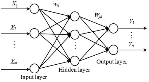 Figure 2. BP neural network topology.