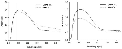 Figure 3. Effect of Fe2+ or Fe3+ ions on the spectrum of absorbance of EMAC II l. UV/vis spectrum was measured with 100 μM of compound alone (unbroken line) or in the presence of 10 mM FeCl3 or FeSO4 (dotted line).