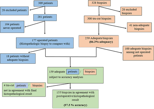 Figure 3 The flowchart of patients (blue) and biopsies (brown). Correspondent biopsy for each patient- flow chart to analyze accuracy (green).