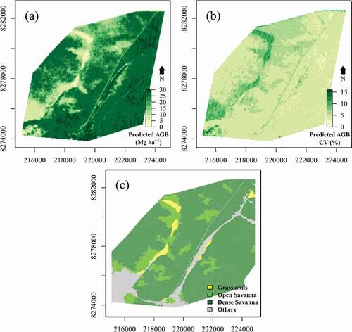 Figure 10. (a) Aboveground biomass (AGB) estimates from Random Forest (RF) when applied to 22 Hyperion vegetation indices. (b) Image of the coefficient of variation (CV) showing higher values over grasslands and open savannas than over dense savannas. (c) Vegetation map of the corresponding portion of the Ecological Station of Águas Emendadas (ESAE). The map was adapted from GeoLógica/Ecotech (Citation2009) and Jacon et al. (Citation2017)