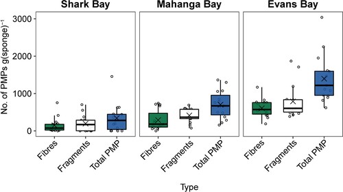 Figure 4. The number of PMP fibres, PMP fragments, and PMP totals per gram of sponge tissue pooled across six species at three different sites in the Wellington Harbour. The box size represents the upper and lower quartiles of the data. The middle line shows the median value and the symbol × shows the mean value. The whiskers indicate the variability of the data outside of the interquartile range. Individual data points are shown.