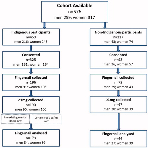 Figure 1. Flowchart of fingernail sample availability for Indigenous and non-Indigenous young adults.