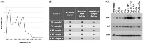 Figure 8. Assessment of the loading and retention of RAMBAs in liposomes. (A) A UV spectrophotometric scan of 100 µM C17 dissolved in ethanol. (B) Table showing independent preparations of liposomes tested for the amount of RAMBA present, expressed as a percentage of the theoretical maximum of 240 µM. The percentage of this RAMBA that remained after a 24 h dialysis against distilled water is given, as well as the time delay between liposome synthesis and the dialysis. (C) Immunoblot of pAKT, AKT and actin from KELLY cells that were treated for 24 h with C2-containing liposomes before (C2) or after (C2-D) dialysis, empty liposomes before (EL) or after (EL-D) dialysis, with or without co-treatment with 0.1 µM ATRA (RA).