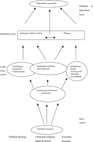 Figure 1 Immediate, underlying and basic causes of malnutrition Source: UNICEF (1990;)