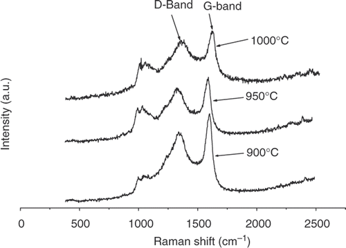 Figure 9. Raman spectra of CSs.
