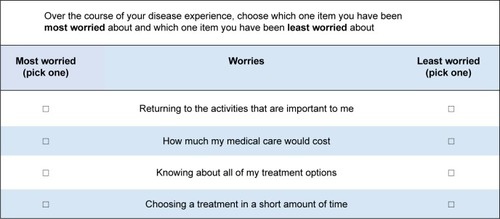 Figure 4 Example of a best–worst scaling choice task.