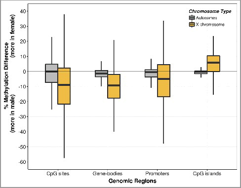 Figure 2. Boxplot of methylation difference by fetal sex. The CpG methylation differences were obtained from the percentage methylation level of females (n = 2) subtracted by that of males (n = 2) at single CpG sites, gene-bodies, promoters, and CpG island regions. The methylation differences were measured in autosomes separately from the chromosome X. Each of the boxes shows the median and interquartile range (IQR). The vertical lines (whiskers) extended from the box represent a range of 1.5*IQR from both ends. Data beyond the end of the whiskers (i.e., outliers) are not shown. Boxplots of chromosome-wide methylation difference are shown in Supplementary Figure S3.