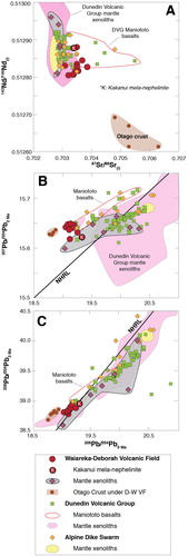 Figure 8. Bulk rock isotopic data for the Waiareka-Deborah Volcanic Field compared to other volcanic fields in Otago and clinopyroxene in mantle xenoliths of those fields. A, 87Sr/86Sr(i; initial) versus 143Nd/144Nd(i) shows the Waiareka-Deborah Volcanic Field tends to be slightly more radiogenic in Sr than the bulk of the other intraplate provinces. B, 207Pb/204Pb versus 208Pb/204Pb(m; measured) highlights the distinct nature of the Waiareka-Deborah Volcanic Field in 207Pb/204Pb isotopes to the other intraplate provinces and the mantle lithosphere, except for basalts in the Maniototo in the Dunedin Volcanic Group. C, 206Pb/204Pb versus 208Pb/204Pb(m) illustrates the mostly less radiogenic nature of the mantle source to the Waiareka-Deborah Volcanic Group compared to other Otago intraplate provinces. Data sources are: Waiareka-Deborah Volcanic Field rocks (this study; Hoernle et al. Citation2006) and xenoliths (McCoy-West et al. Citation2016); Dunedin Volcanic Group rocks (Price et al. Citation2003; Hoernle et al. Citation2006; Sprung et al. Citation2007; Scanlan et al. Citation2020; Scott et al. Citation2020) and its peridotite xenoliths (Scott et al. Citation2014a; Scott et al. Citation2014b; McCoy-West et al. Citation2016; Dalton et al. Citation2017); Alpine Dike Swarm rocks (Barreiro and Cooper Citation1987) and peridotite xenoliths (Scott et al. Citation2014b, Citation2016); crustal Sr-Nd-Pb data are from Scanlan et al. (Citation2018, 2020) and Scott et al. (Citation2020).