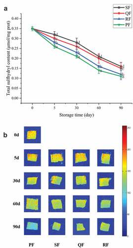 Figure 4. Change of sulfhydryl content (A) and magnetic resonance imaging (MRI) (B) of SF, QF, RF and PF groups during frozen storage. The different letters in the figure mean significant difference (p < .05).