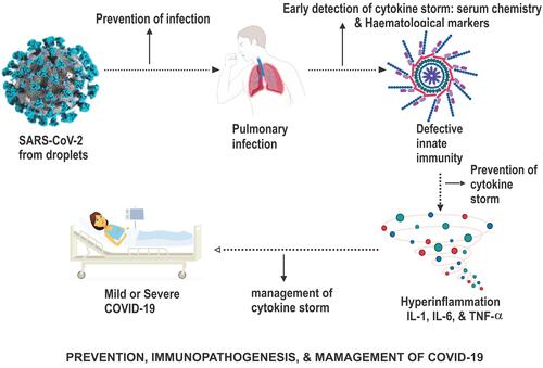 Figure 5 The prevention, immunopathogenesis and management of COVID-19.