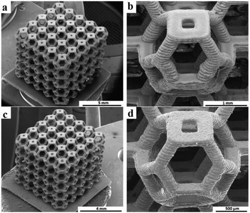 Figure 3. Kelvin-structured constructs made from wollastonite diopside glass bioceramic and printed using the DLP technique, depicting its ability to produce intricate structures. as printed (a, b) and sintered (c, d) [Citation30].