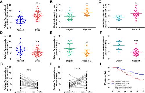 Figure 1 ZEB1-AS1 overexpression in OSCC correlates with tumor progression and poor patient prognosis. (A, D) The relative expression of ZEB1-AS1 or miR-23a in OSCC and adjacent non-cancer tissues (n=30). (B, E) The relative expression of ZEB1-AS1 or miR-23a in OSCC tissues at different advanced stages of TNM. (C, F) The relative expression of ZEB1-AS1 or miR-23a in OSCC tissues at different pathology grades. (G, H) The relative expression of ZEB1-AS1 or miR-23a in the sera of OSCC patients pre- and post-operative. (I) Kaplan–Meier survival curve analysis of patients based on ZEB1-AS1 expression and OS rates. **P < 0.001; ***P < 0.0001.