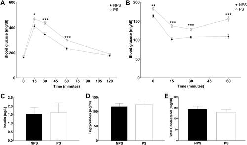 Figure 2. (A) Glucose tolerance test: Blood glucose measured during the glucose tolerance curve. (B) Insulin tolerance test: Blood glucose measured during the insulin sensitivity test for non-prenatally stressed (NPS, dark circles), prenatally stressed (PS, light circles). (C) Non-fasting insulin levels. (D) Triglycerides. (E) total cholesterol. Panels A–D: values are presented as mean ± standard error (for A–B and D: n = 8–9 mice in each group; for C: n = 5 mice in each group), Panel E: values are presented as median and interquartile range (n = 8–9 mice in each group). NPS: non-prenatal stress (dark bars); PS: prenatal stress (white bars). *p < .05, **p < .01 and *** p < .001.