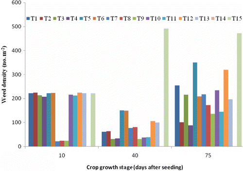 Figure 2.  Weed density at different growth stages of rice variety AERON 1 as influenced by weed control treatments (averaged over seasons). T1=Bispyribac-sodium; T2=Bispyribac-sodium fb Bentazon/MCPA; T3=Cyhalofop-butyl+Bensulfuron; T4=Cyhalofop-butyl+Bensulfuron followed by (fb) Bentazon/MCPA; T5=Fenoxaprop-p-ethyl/safener; T6=Fenoxaprop-p-ethyl/safener fb Bentazon/MCPA; T7=Pretilachlor/safener; T8=Pretilachlor/safener fb Bentazon/MCPA; T9=Pretilachlor/safener fb Propanil/Thiobencarb; T10=Propanil/Thiobencarb; T11=Propanil/Thiobencarb fb Bentazon/MCPA; T12=Quinclorac; T13=Quinclorac fb Bentazon/MCPA; T14=Season long weed-free; T15=Season long weedy.