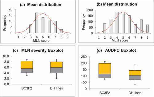 Figure 1. Histograms and Box-and-Whisker plots of mean distributions: (a) MLN severity in BC3F2 populations; (b) MLN severity in DH populations; (c) Box-and-Whisker plots for MLN severity in BC3F2 and DH populations; and (d) AUDPC values in BC3F2 and DH population; the box bottom (yellow/orange) and top (gray) represent the first and third quartiles, with the line inside the box representing the median; the ends of the whiskers extending from the box is the range of minimum and maximum values