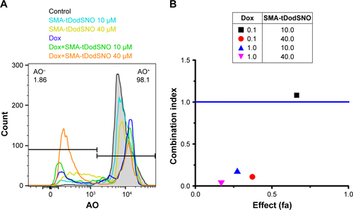 Figure S2 (A) Flow cytometry spectrum of AO-stained cells and treated with free Dox (0.1 µM) and/or SMA-tDodSNO (10 and 40 µM). The percentage of the cell population with high fluorescent intensity (AO+) decreased following the treatments. (B) Chou-Talalay analysis showed a synergistic increase in the lysosomal permeability (decrease in the population of AO+) when the cells were treated with Dox (0.1 and 1 µM) and SMA-tDodSNO (10 and 40 µM) concurrently. The highest effect was observed at Dox 1 µM and SMA-tDodSNO 40 µM.Abbreviations: AO, acridine orange; Dox, doxorubicin; SMA, polystyrene-maleic acid; tDoDSNO, tert-dodecane S-nitrosothiol.