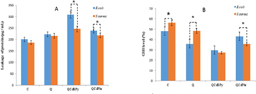 Figure 9. Effect of quercetin (Q), complex 1 and complex 2 on leakage of protein (A) and GSH activity (B) in E. coli and S. aureus.Note: E. coli and S. aureus cells were treated with the respective MIC (see Table 2) of quercetin (Q), complex 1 and complex 2 for 12 h. Protein levels were measured using the Lowry method. GSH levels were measured enzymatically in the clear supernatant based on the reduction of 5, 5’-dithiobis-(2-nitrobenzoic acid) by the GSH reductase system. Asterisks indicate statistically significant differences between treatment and control groups determined using Student's t-test (p < 0.05).